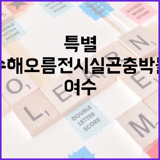 여수 해오름전시실 곤충박물관 특별 체험