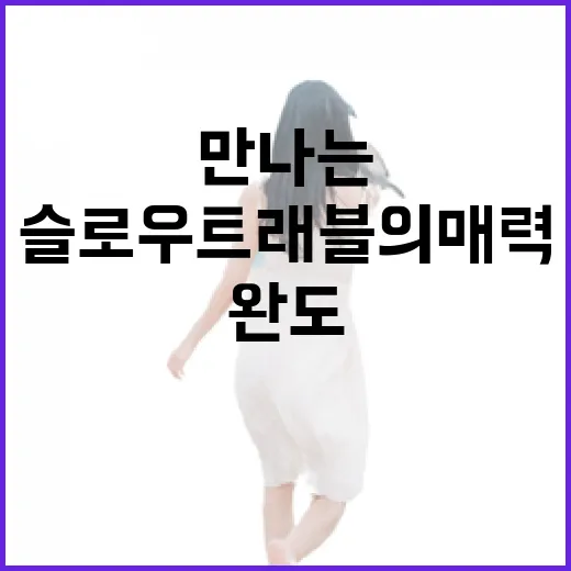 완도에서 만나는 슬로우 트래블의 매력