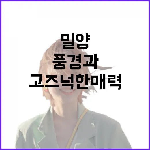 밀양 금시당의 푸른 풍경과 고즈넉한 매력