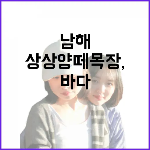 남해 상상양떼목장, 바다 대신 초원에서 만나는 힐링