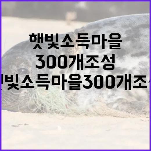 햇빛소득마을 300개 조성, 농촌에 희망을