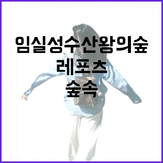 임실 성수산 왕의숲, 가족과 함께하는 숲속 레포츠