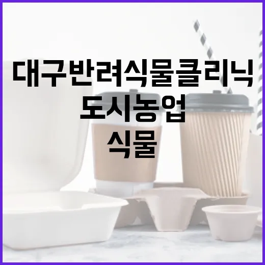 대구 반려식물 클리닉, 도시농업 힐링 프로그램