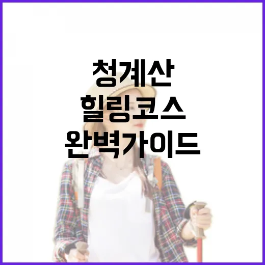 청계산 자연 힐링 코스 완벽 가이드