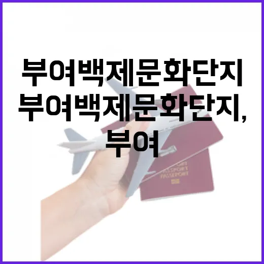부여 백제문화단지, 밤빛에 물든 고궁의 매력