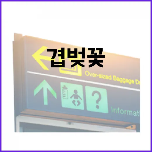 당진 겹벚꽃 명소 3선 봄 끝자락 힐링여행