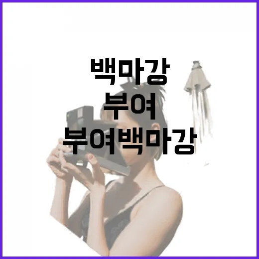 부여 백마강에서 만난 하늘과 별빛의 낭만