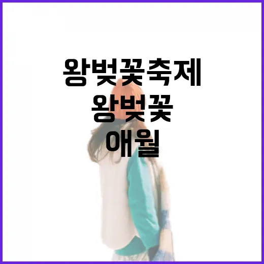 애월 왕벚꽃 축제, 가족과 함께한 봄날의 여유