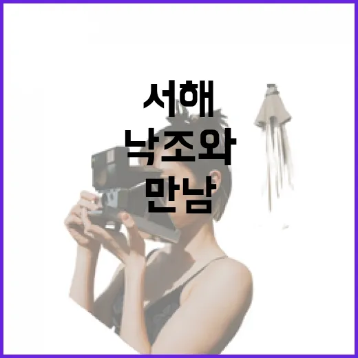 서해 낙조와 미식의 만남, 태안서 선셋다이닝 개막