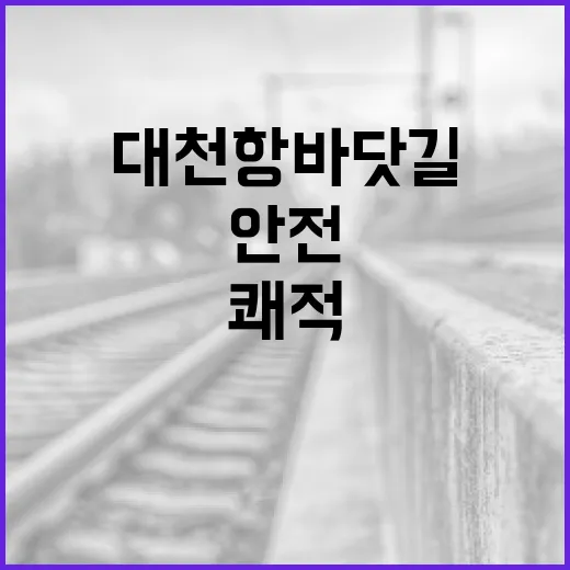 대천항 바닷길 안전·쾌적 대규모 확장