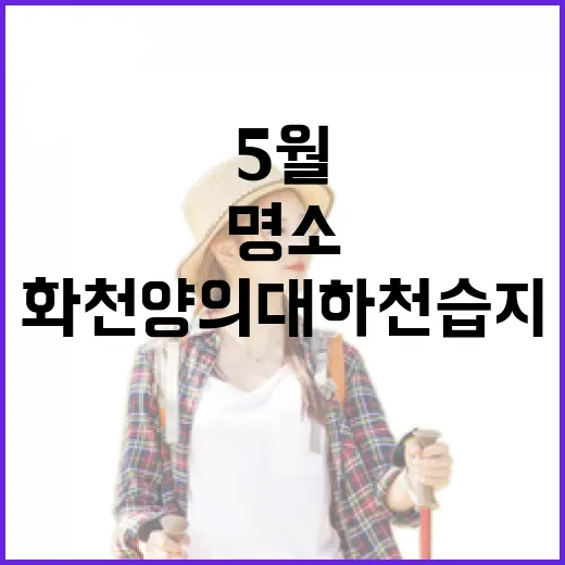 5월 화천 양의대하천습지, 자연과 평화의 명소