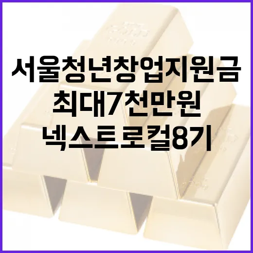 서울 청년 창업 지원금 최대 7천만 원, 넥스트로컬 8기 모집 시작