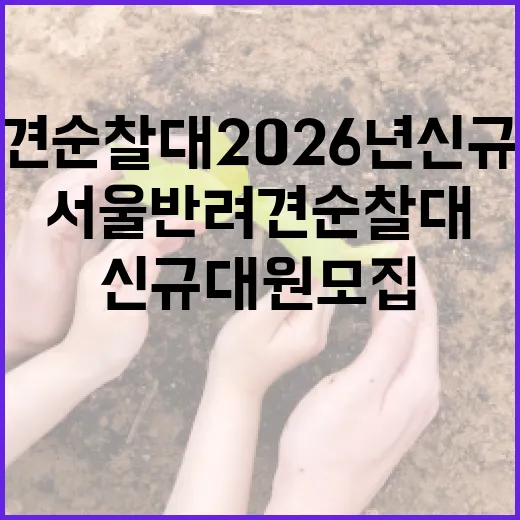 서울 반려견 순찰대 2026년 신규 대원 모집