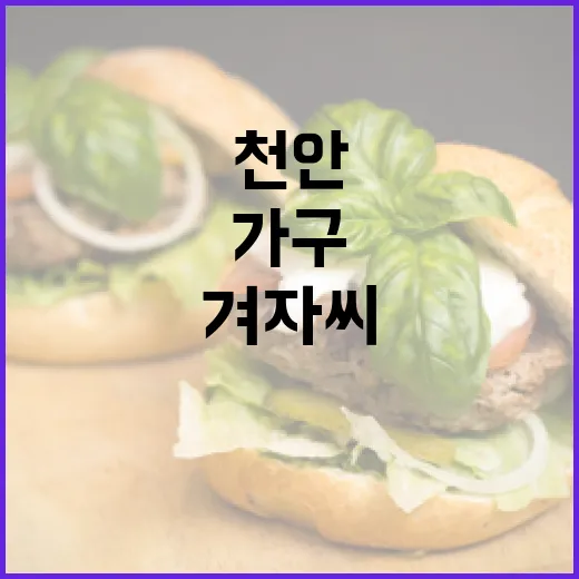 천안 겨자씨가구카페, 가구와 커피의 따뜻한 만남
