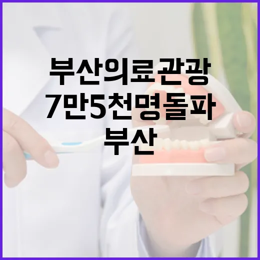 부산 의료관광 7만5천명 돌파 전국 2위 도약