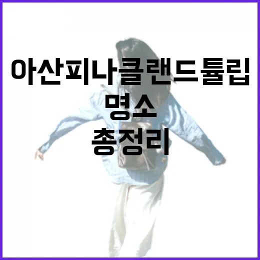 아산 피나클랜드 튤립축제 명소 총정리