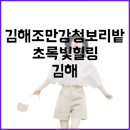 김해 조만강 청보리밭, 초록빛 힐링 명소