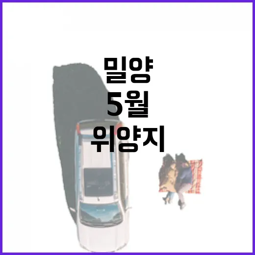 밀양 위양지 5월 이팝나무 절경