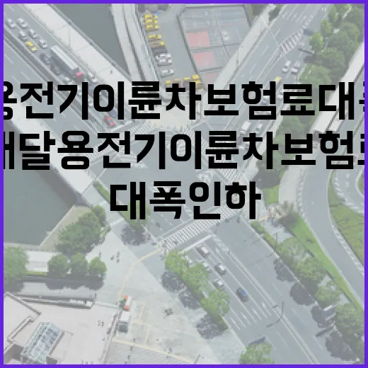 배달용 전기이륜차 보험료 대폭 인하