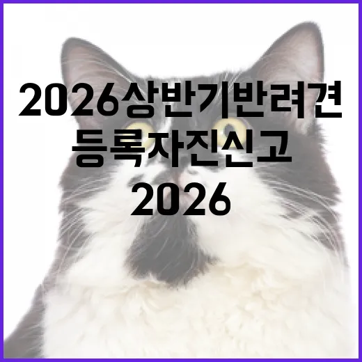 2026 상반기 반려견 등록 자진신고 시작