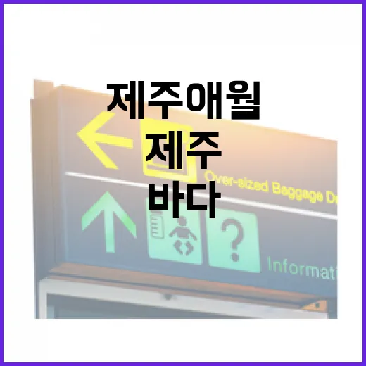 제주 애월 구엄리 돌염전, 바다와 역사의 만남