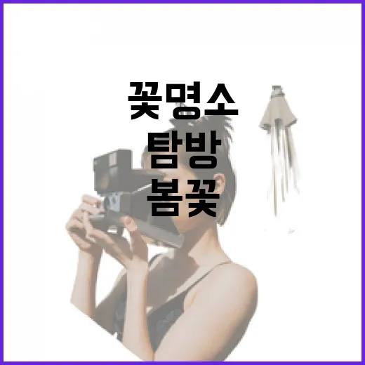 전주 효자동 봄꽃 명소 두 곳 집중 탐방