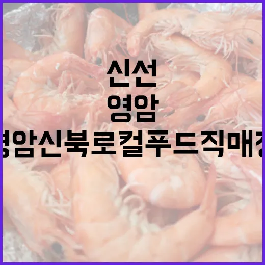 영암 신북로컬푸드직매장 신선함 가득