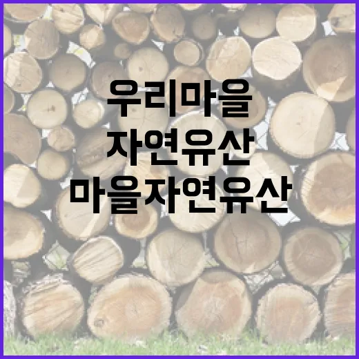 우리 마을 자연유산 발굴 프로젝트 시작
