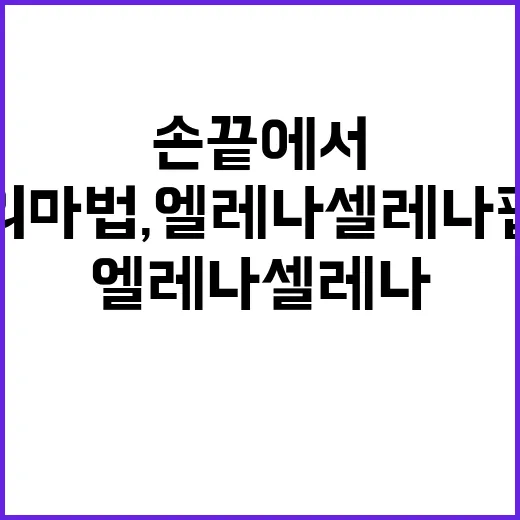 손끝에서 피어나는 종이의 마법, 엘레나셀레나 팝업북展