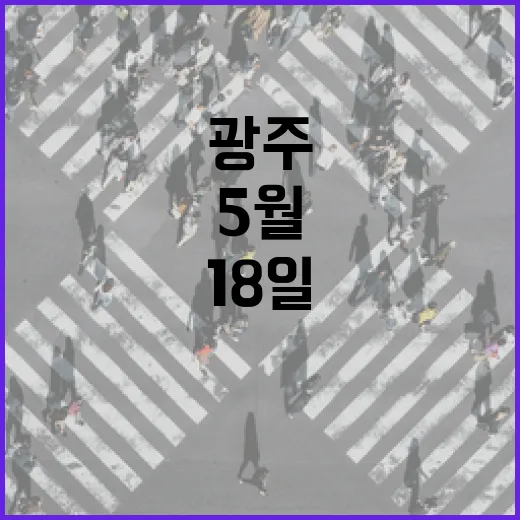5월 18일 광주 대중교통 전면 무료 운행