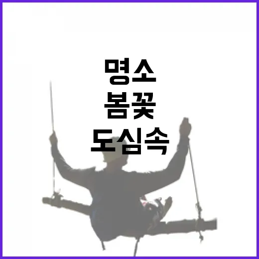 대구 도심 속 봄꽃과 야경 산책 명소