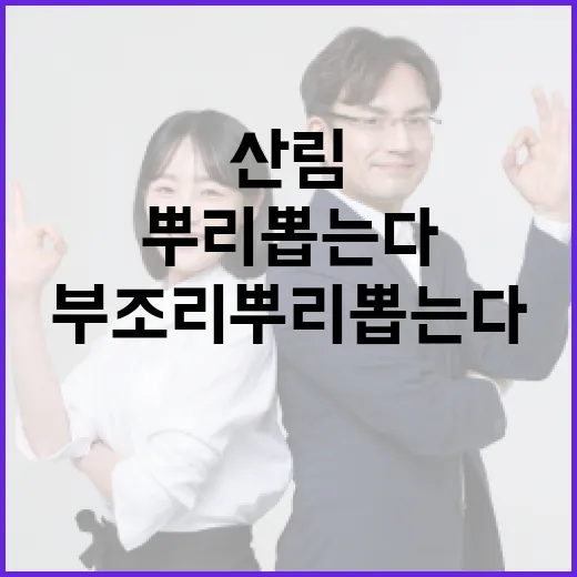 산림사업 부조리 뿌리 뽑는다