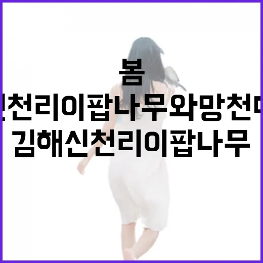 김해 신천리 이팝나무와 망천마을의 봄 풍경