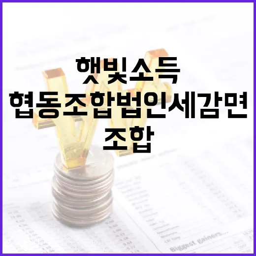 햇빛소득 협동조합 법인세 감면 사실관계