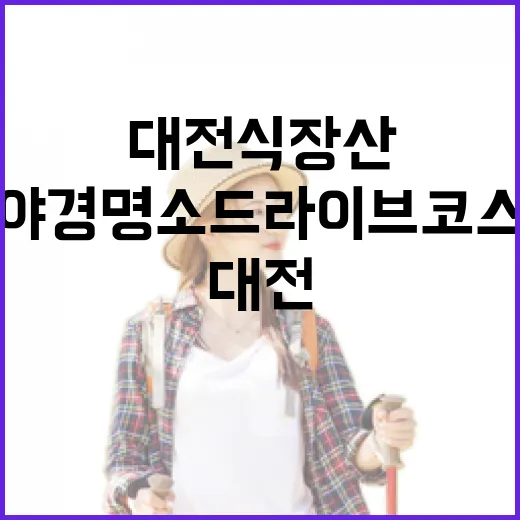 대전 식장산, 노을과 야경 명소 드라이브 코스