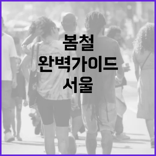 서울 봄철 축제 안전수칙 완벽 가이드