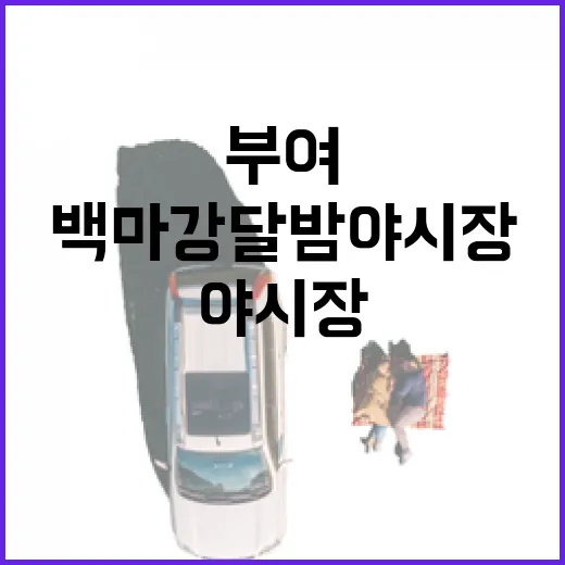 부여 백마강 달밤 야시장 현장 스케치
