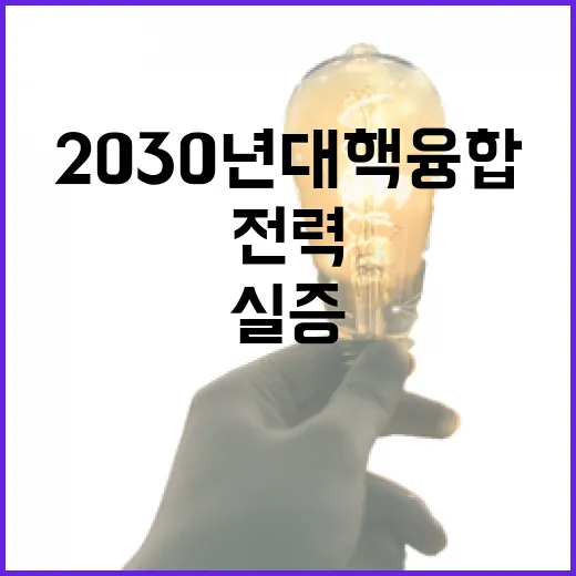 2030년대 핵융합 전력 실증 국가 설계도 착수