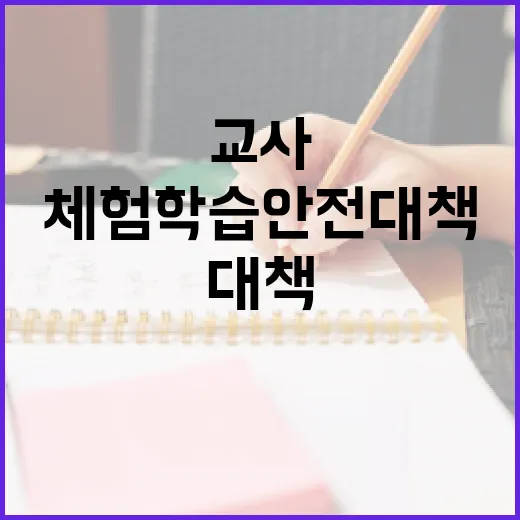 교사 부담 줄이는 체험학습 안전대책 추진