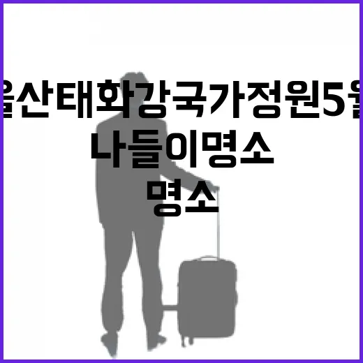울산 태화강 국가정원 5월 꽃향기 가득한 나들이 명소