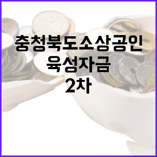 충청북도 소상공인 2차 육성자금 최대 7천만 원 지원