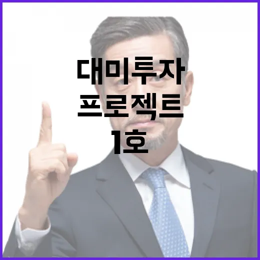 대미투자 1호 프로젝트 발표 시기 미정