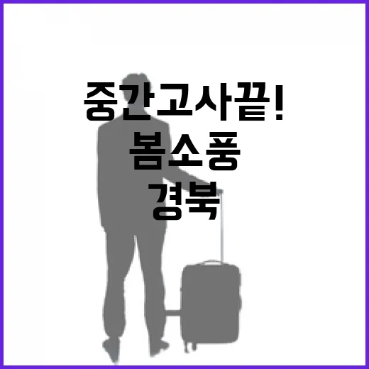 중간고사 끝! 경북 봄소풍 명소 5선