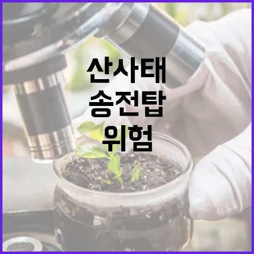 동해안 송전탑 산사태 위험 신속 대응