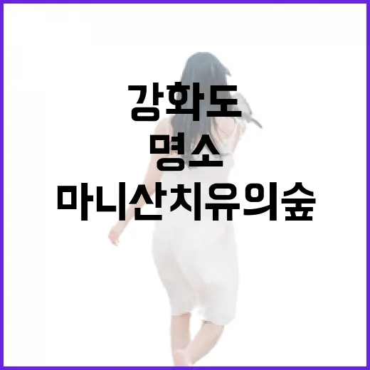 강화도 마니산 치유의 숲, 가족 체험 명소