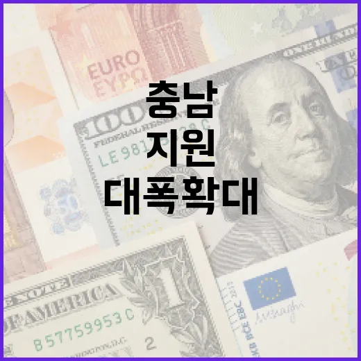 충남, 소상공인 배달비 지원 대폭 확대