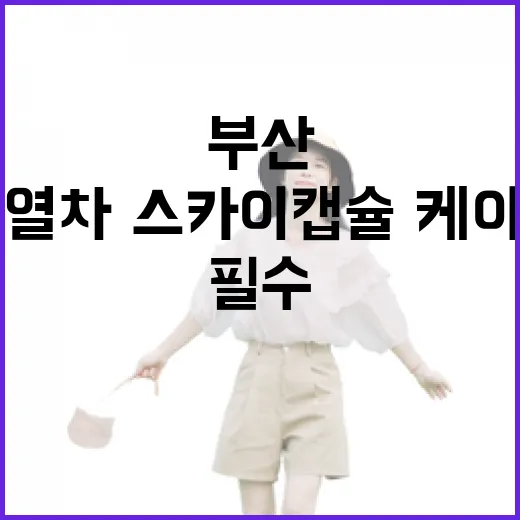 부산 해변열차·스카이캡슐·케이블카 필수 체험