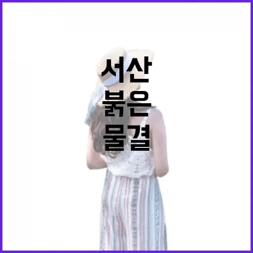 서산 애정리 명자꽃동산, 봄의 붉은 물결