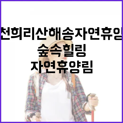 서천 희리산해송자연휴양림 숲속 힐링 명소