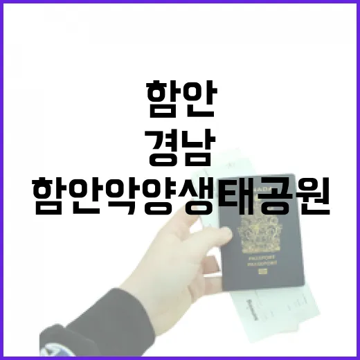 경남 함안 악양생태공원 꽃 만개 소식